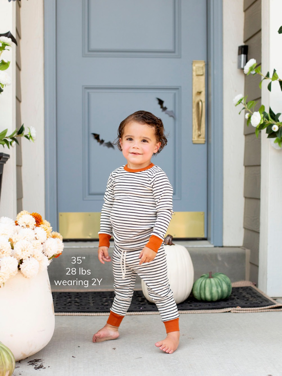 Raven Stripe and Monarch Lounge Set