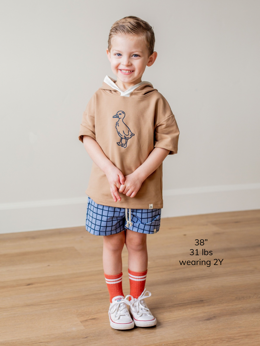 Blueberry Windowpane Surf Shorts