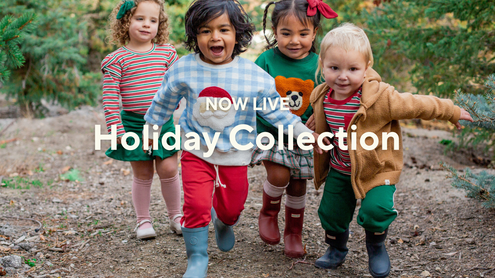 slideshow background