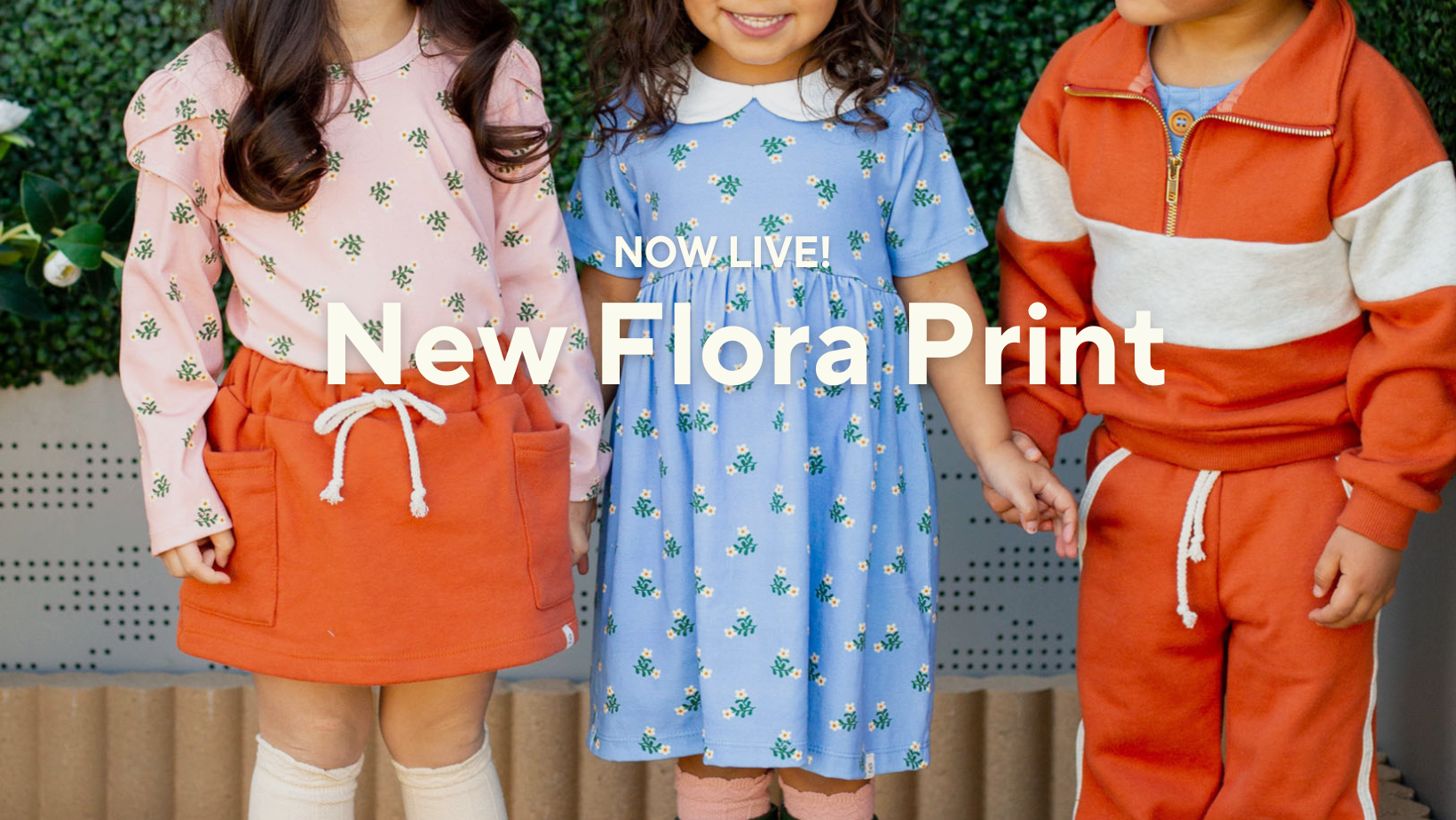 slideshow background