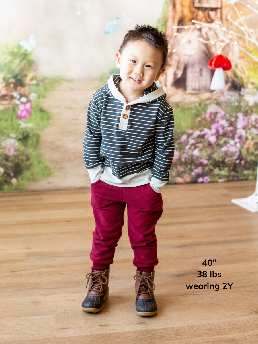 Charcoal Stripe Button Hoodie