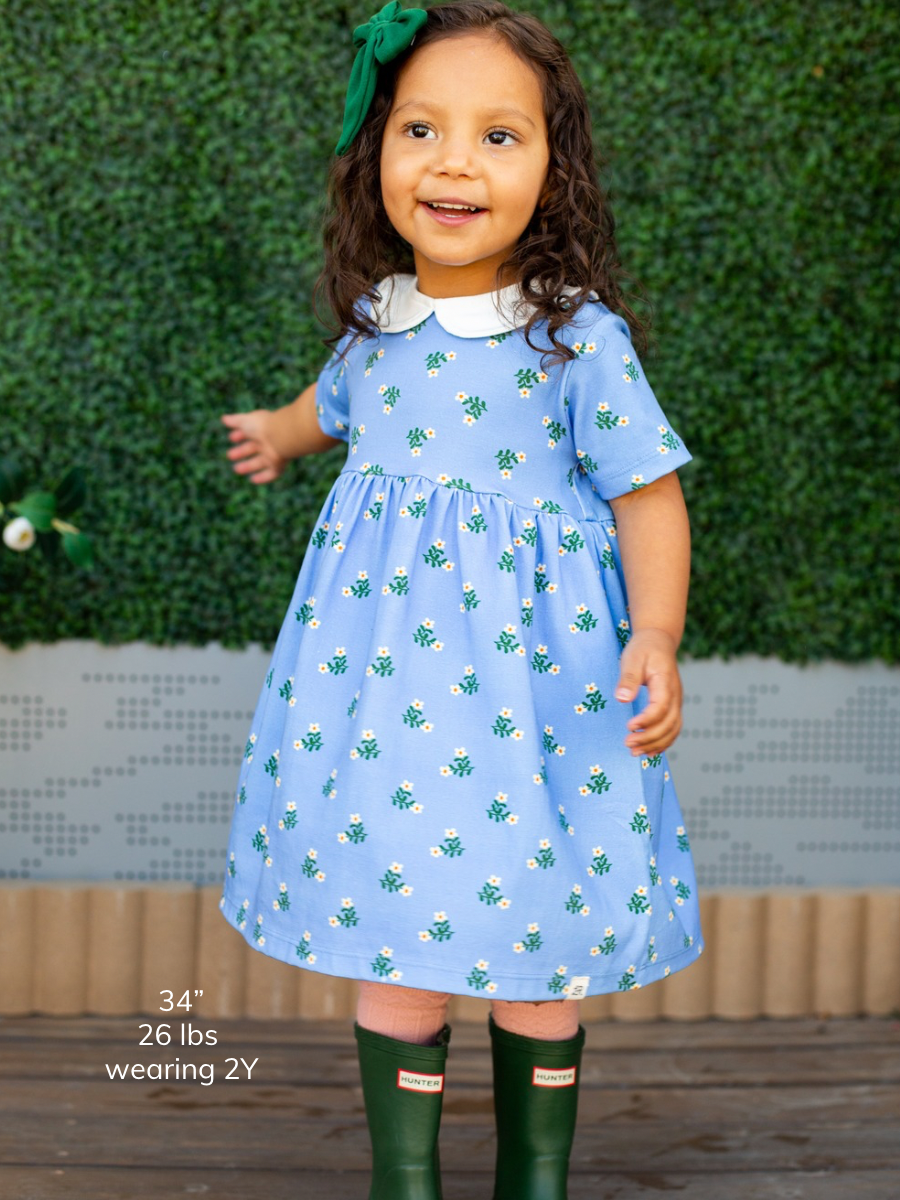 Skipper Flora Peter Pan Dress
