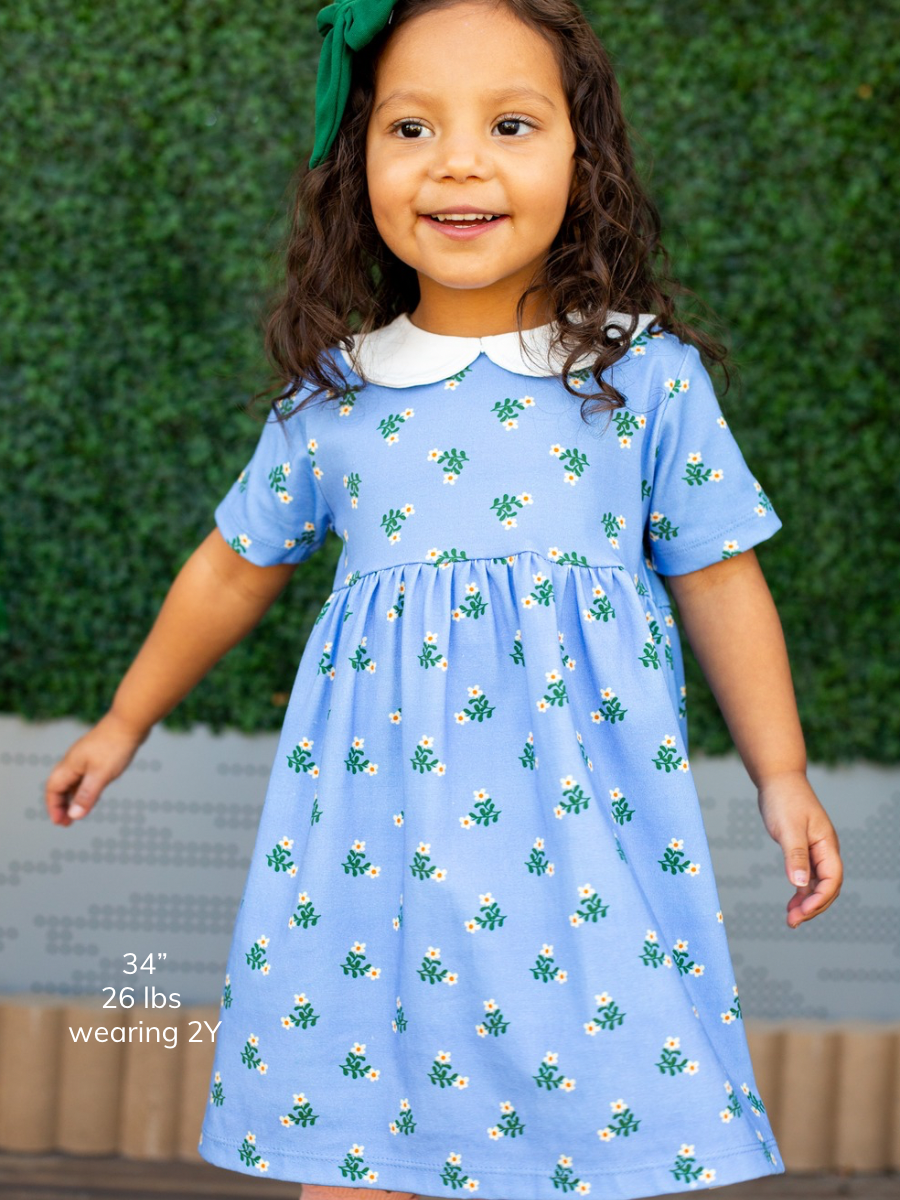 Skipper Flora Peter Pan Dress