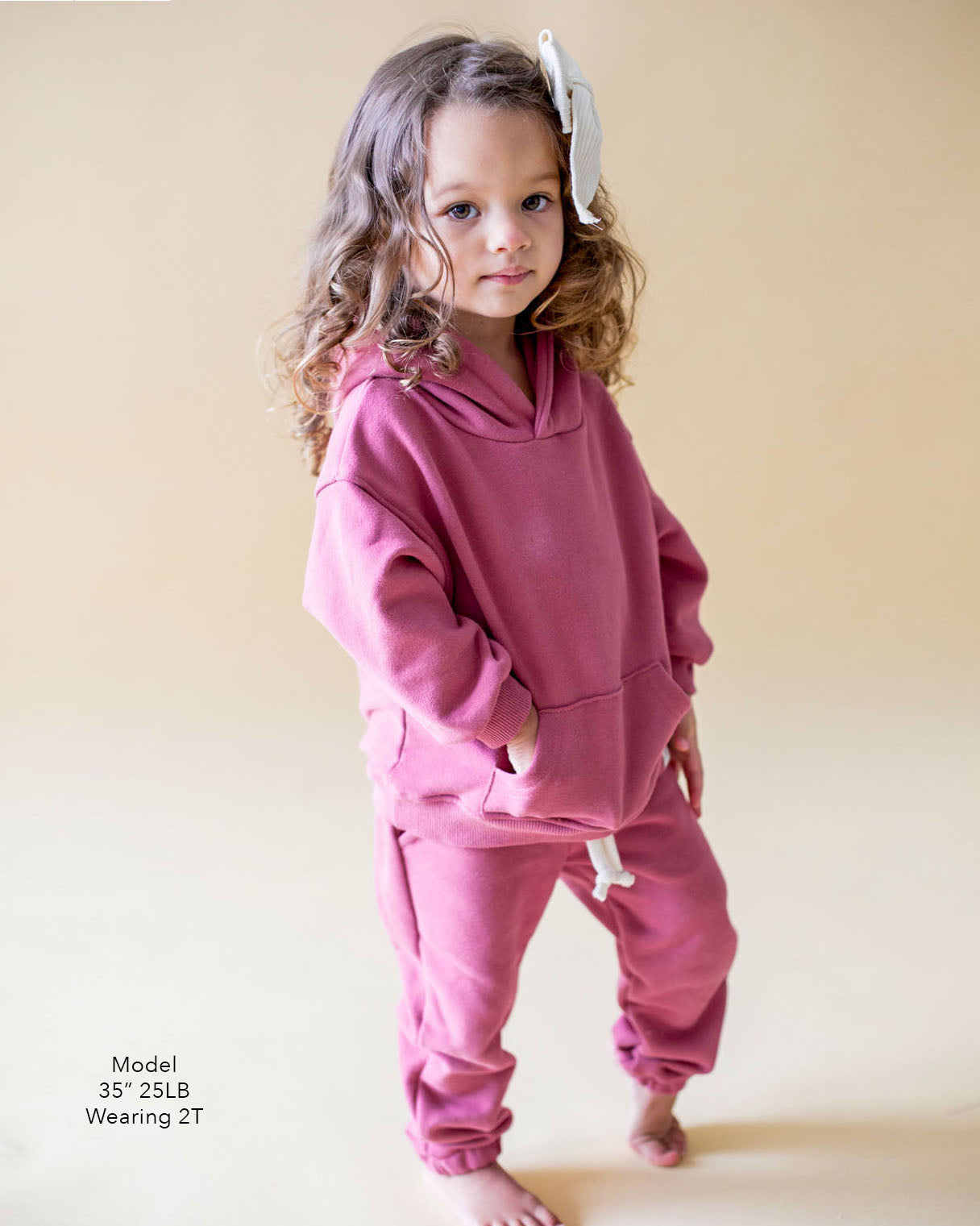 Mulberry Cozy Hoodie and Jogger Set