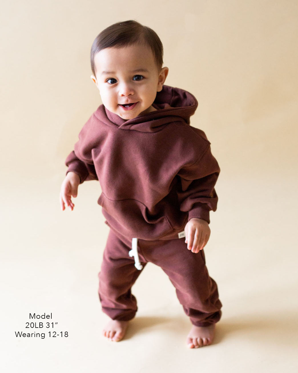 Hickory Cozy Hoodie and Jogger Set